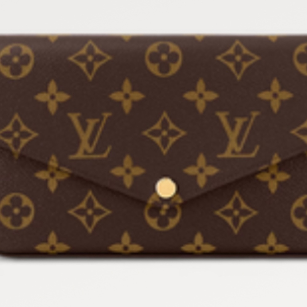 Louis Vuitton Felicie Pochette